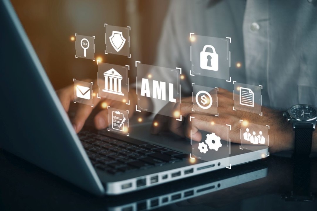 Financial Crimes in the Digital Age: Challenges for Institutions, Security, and Society